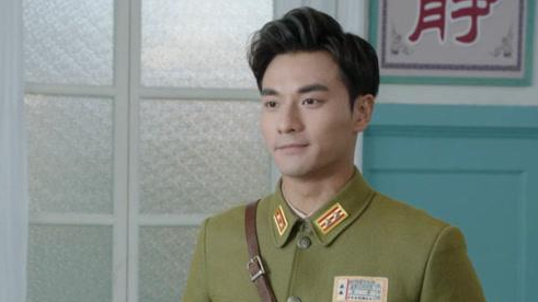 电视剧《密查》武仲明是好人还是坏人？他暗中执行什么任务？