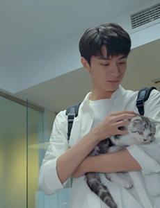 致我们暖暖的小时光顾未易日常打脸 为了司徒末强行带猫回家