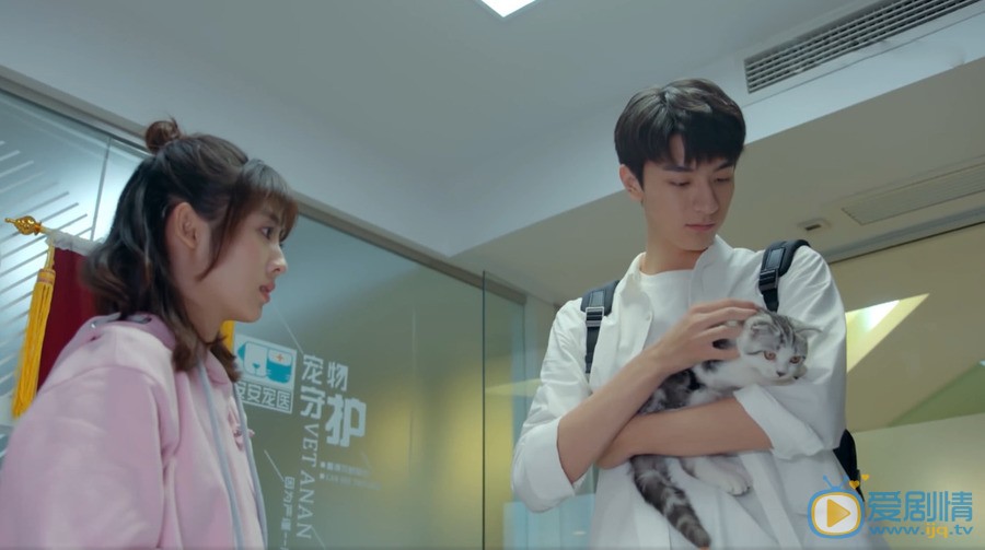 致我们暖暖的小时光顾未易日常打脸 为了司徒末强行带猫回家