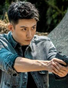 破冰行动是谁阻止林耀东动李飞？是不是马云波？