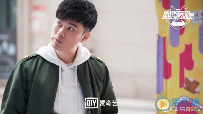 动物管理局郝运动物管理局剧照
