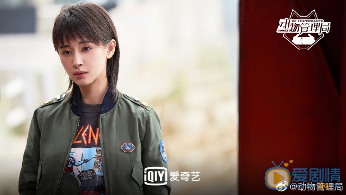 动物管理局吴爱爱剧照 吴爱爱动物管理局剧照