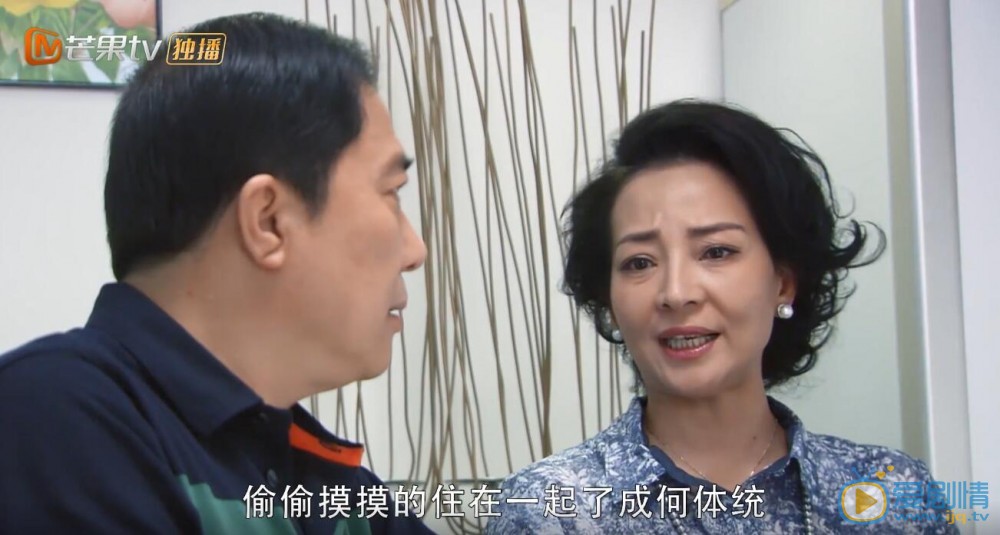 亲爱的婚姻刘涛携手马天宇 演绎当代女性的无奈