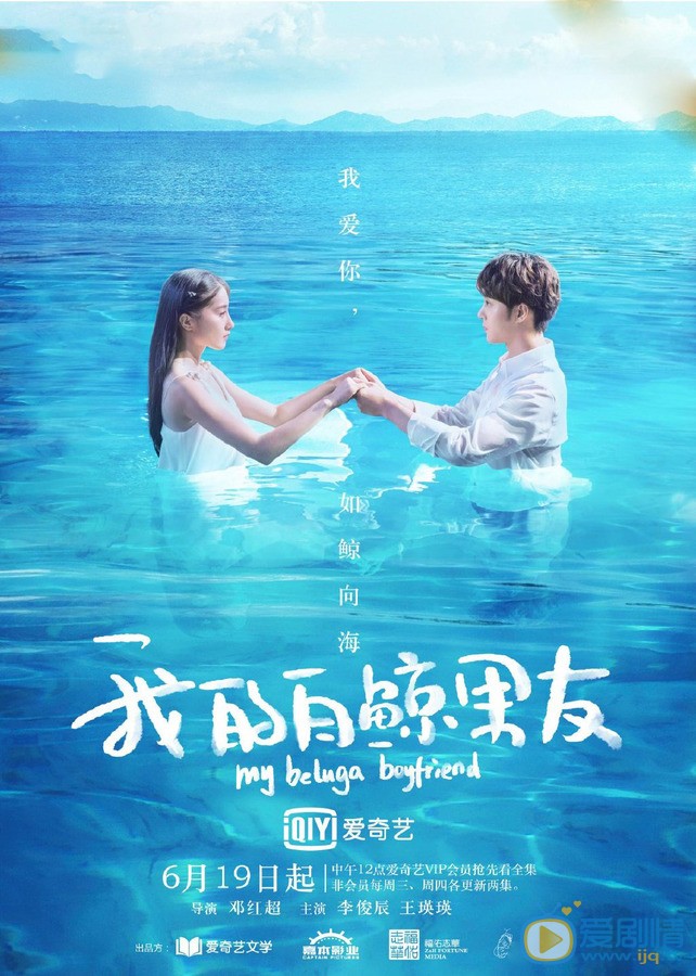 我的白鲸男友剧情介绍