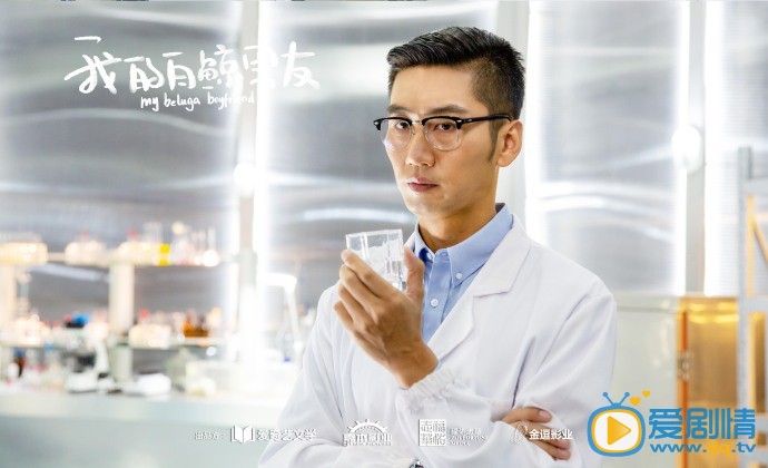 我的白鲸男友主要讲述的是什么？