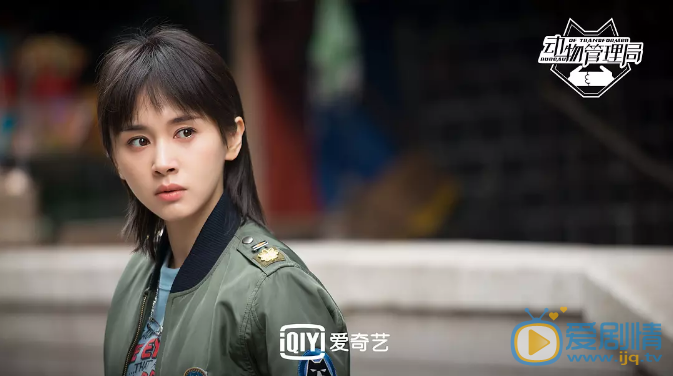 动物管理局吴爱爱剧照 吴爱爱动物管理局剧照