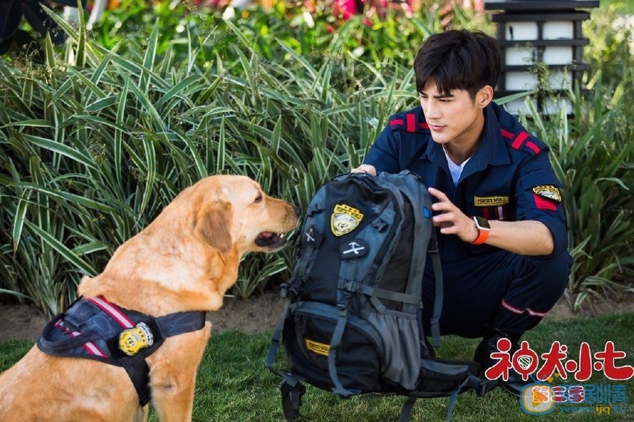 神犬小七3边慕剧照 边慕神犬小七3剧照