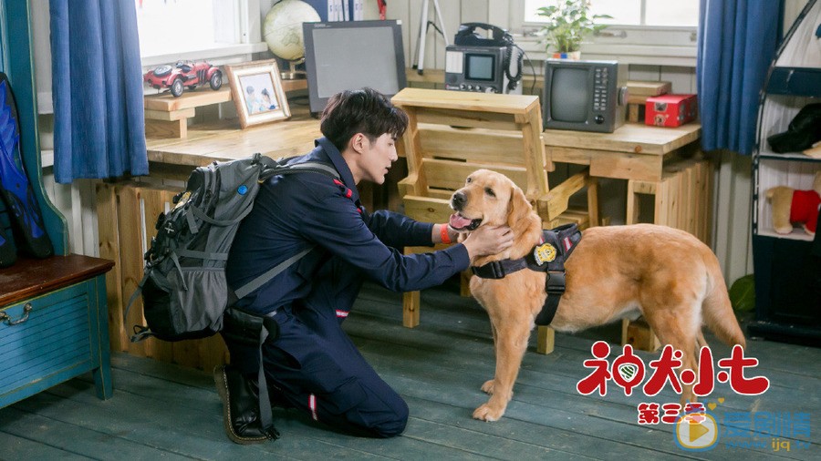 神犬小七3边慕剧照 边慕神犬小七3剧照