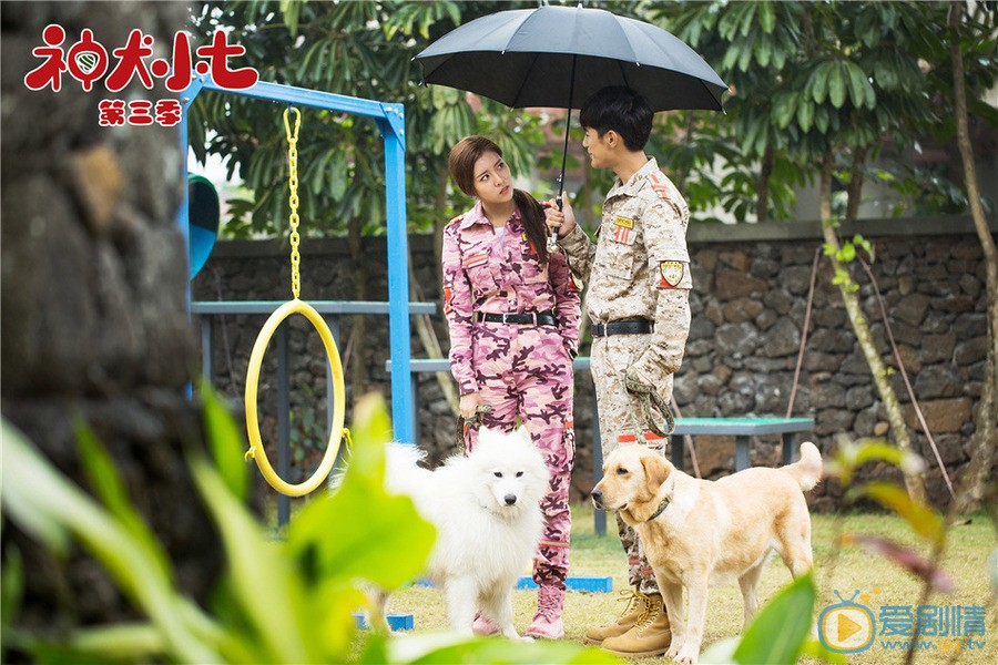 神犬小七3定档6月27日 姜潮宋妍霏与萌宠暖心救援