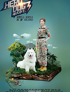电视剧神犬小七3主要讲述的是什么？