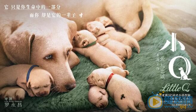 小Q海报