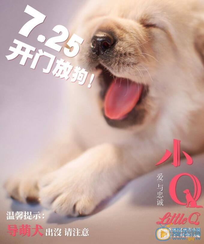 小Q海报