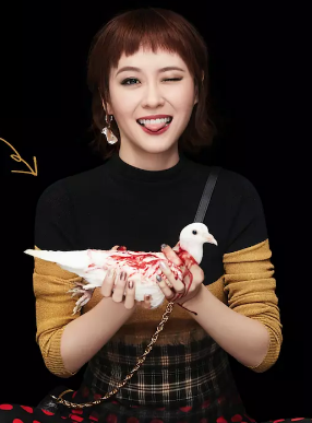热搜女王顾禾绮剧照