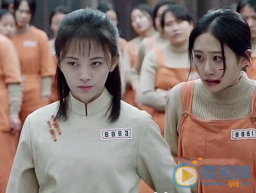 请赐我一双翅膀林九歌为何要帮小白菜？