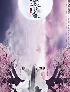 宸汐缘主要讲述的是什么？