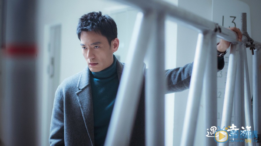 遇见幸福司问渠停飞是怎么回事？
