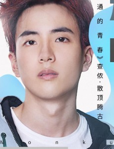 维特