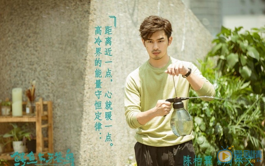 鳄鱼与牙签鸟周尔文是由谁饰演的？他最后跟李南恩在一起了吗？