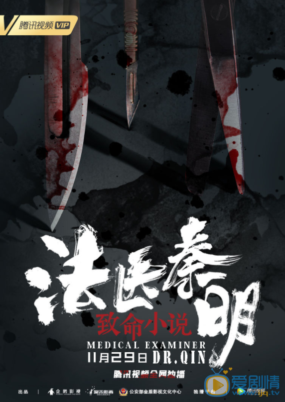 法医秦明之致命小说剧情介绍
