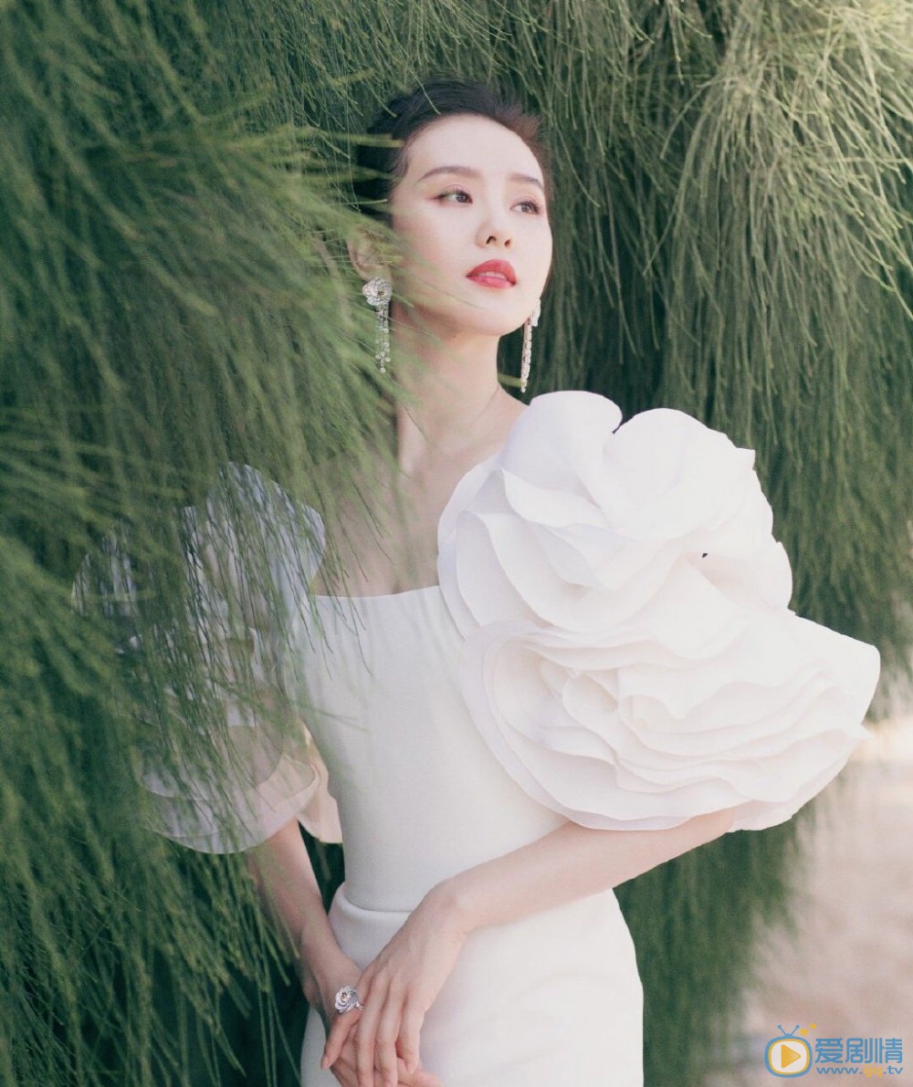 刘诗诗金鸡红毯图片集 刘诗诗高清写真_刘诗诗高清剧照