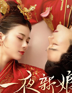 一夜新娘主要讲述了什么故事？里面的主演有谁？