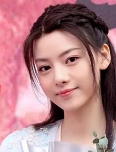 玉昭令是根据小说改编的吗？改编自什么小说？