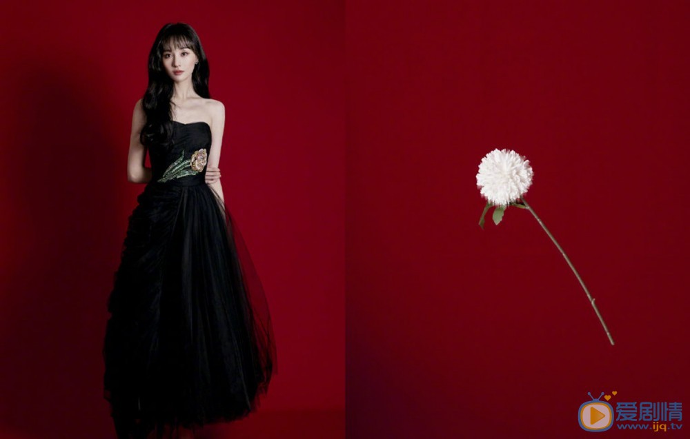 郑爽时尚写真图片 郑爽高清写真_郑爽高清剧照