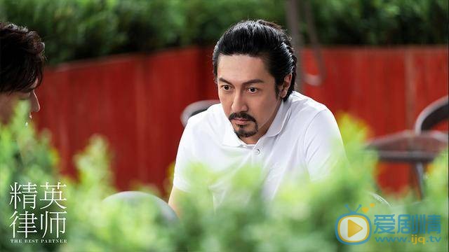 精英律师主演阵容有谁？主要讲述了什么故事？