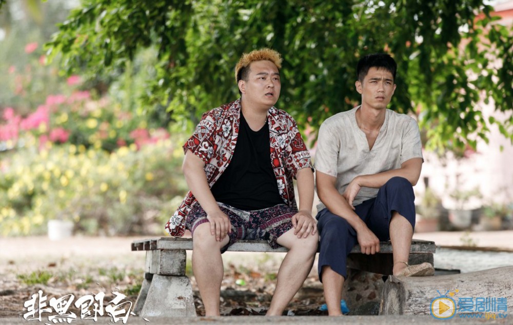 非黑即白什么时候播出？一共有几集？在哪个平台上播？