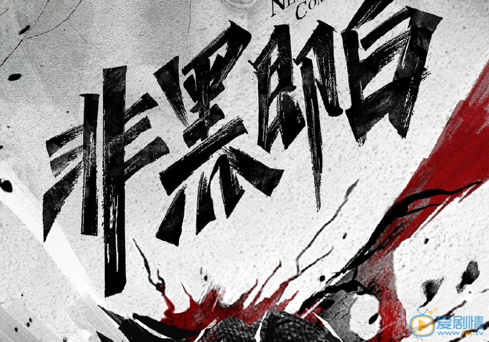 非黑即白什么时候播出？一共有几集？在哪个平台上播？