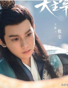北灵少年志之大主宰主要讲述的是什么？