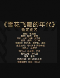 雪花飞舞的年代