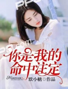 你是我的命中注定主要讲述的是什么？