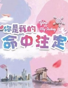 你是我的命中注定是根据小说改编的吗？改编自什么原著小说？