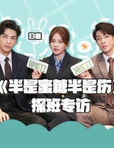 电视剧半是蜜糖半是伤什么时候上映？一共有几集？在哪个平台上播出？