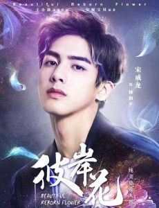 彼岸花是根据小说改编的吗？改编自什么原著小说？