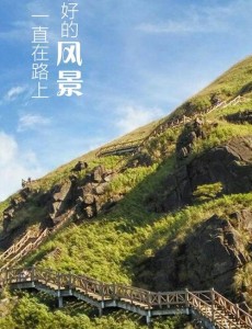 电视剧一路朝阳免费观看 一路朝阳全集完整版无删减在线播放