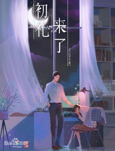 初礼来了主要讲述的剧情是什么？大结局是怎么样的？