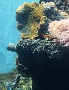 电视剧向风而行免费观看 向风而行全集完整版无删减在线播放