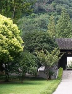 风起陇西是根据小说改编的吗？改编自什么原著小说？