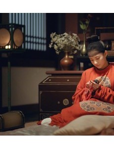 大唐儿女行是根据小说改编的吗？改编自什么原著小说？
