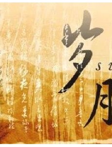 光荣与梦想是根据小说改编的吗？改编自什么原著小说？