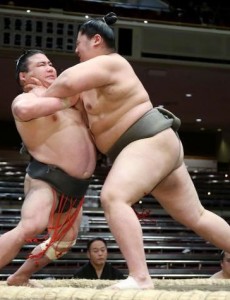 关于日本28岁相扑选手因新冠去世最新相关信息