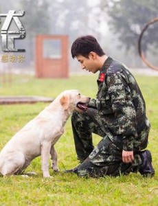 完整版忠犬流浪记电影在线播放 ,免费高清在线观看