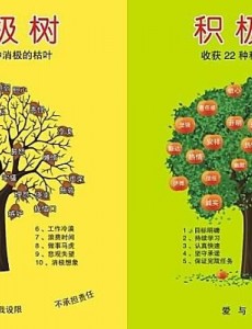 积极心态的故事及感悟