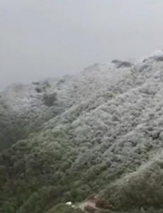 北京百花山五月飘雪，罕见的夏日飞雪