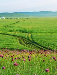 中国四大草原是哪四个，呼伦贝尔大草原是民族大融合的象征