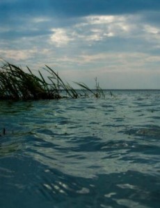 中国五大淡水湖你喜欢吗，最大的淡水湖是——鄱阳湖面积为五湖之最（3960平方公里）