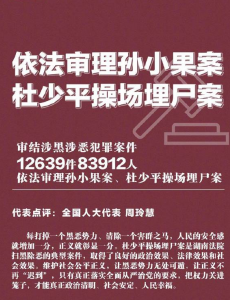 孙小果案杜少平案写入最高法报告，正义终会实现