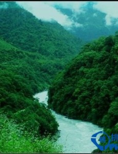 夏季中国最适合前往的漂流地，有你去过的地方吗